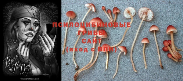 ГАЛЛЮЦИНОГЕННЫЕ ГРИБЫ Абдулино