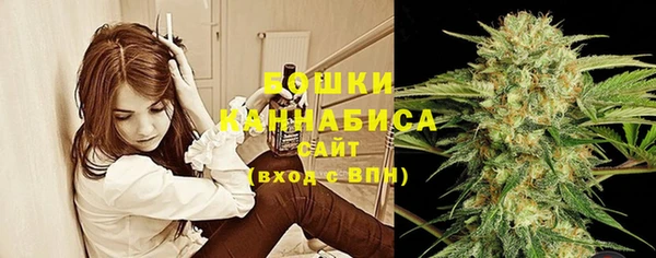 ГАЛЛЮЦИНОГЕННЫЕ ГРИБЫ Абдулино