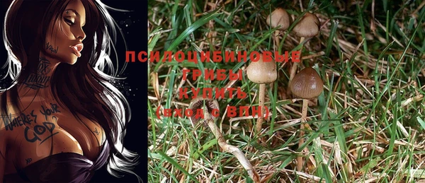 ГАЛЛЮЦИНОГЕННЫЕ ГРИБЫ Абдулино