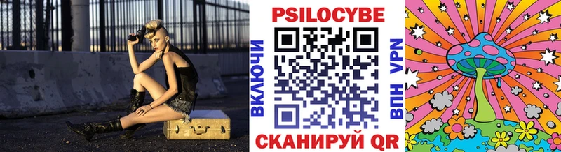 хочу   Щёлково  Псилоцибиновые грибы Psilocybe 